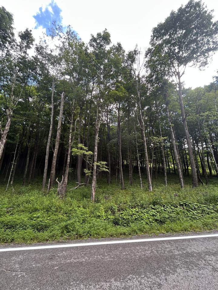 6181 Cass Road - Photo 1