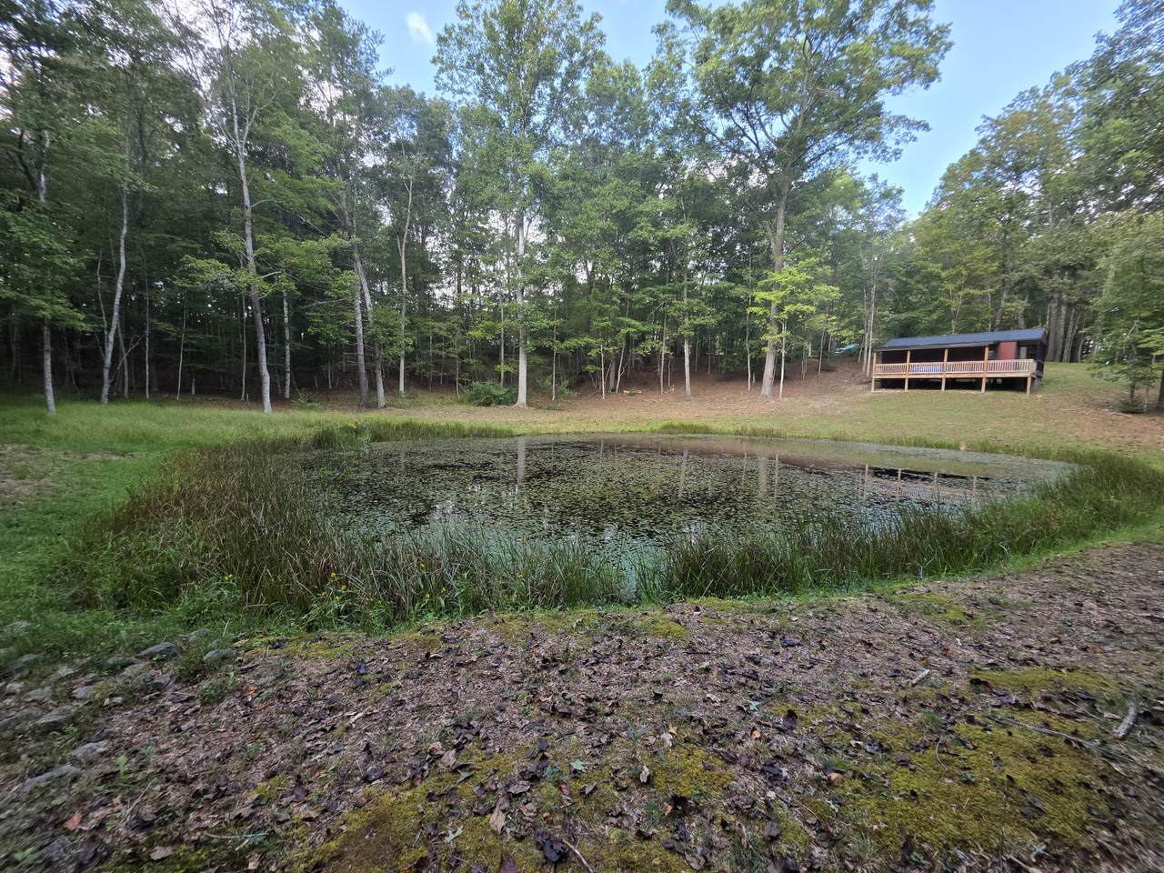 Tbd White Pine Lane - Photo 1