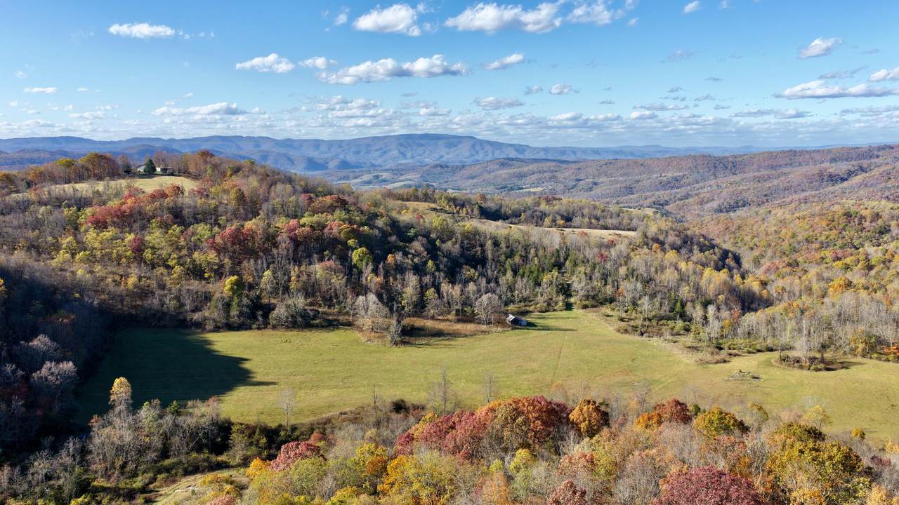 3025 Broad Run Road - Photo 1