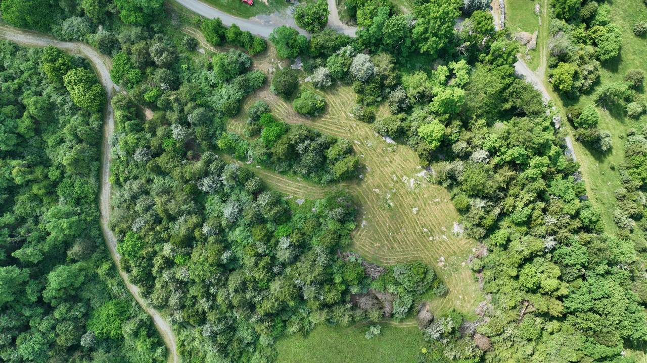  Sunrise Lane - Photo 1