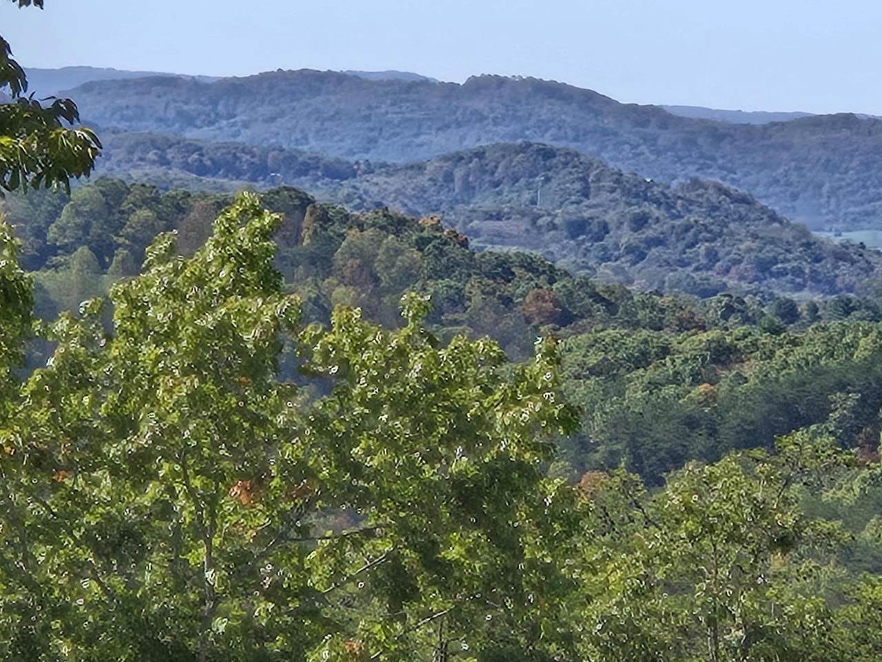 https://bt-photos.global.ssl.fastly.net/greenbrier/1280_boomver_3_24-1150-2.jpg