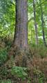  Conley Hill Road - Photo 9