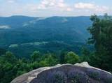 Lot 123 Withrow Landing, The Retreat - Photo 18