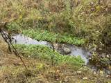 100 Drakes Run Rd - Photo 4