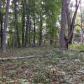 999 Little Mountain Dr - Photo 1