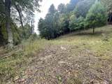 1363 Will Dodd Rd - Photo 10