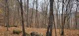 9 Ac Bear View Trl - Photo 5