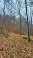 9 Ac Bear View Trl - Photo 6