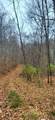 9 Ac Bear View Trl - Photo 7