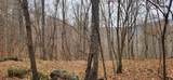 9 Ac Bear View Trl - Photo 8