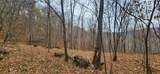9 Ac Bear View Trl - Photo 9