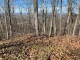Lot 80, White Rock Trl - Photo 7
