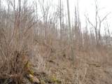 300 Little Mountain Drive - Photo 10