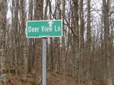 300 Little Mountain Drive - Photo 12