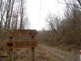 300 Little Mountain Drive - Photo 13