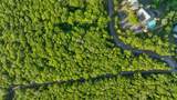 Lot 100 White Rock Trl - Photo 1