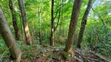 4843 Stanaford Rd - Photo 10