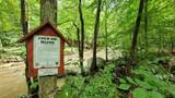 4843 Stanaford Rd - Photo 24