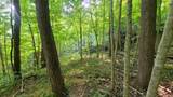4843 Stanaford Rd - Photo 6