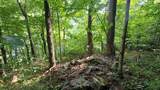 4843 Stanaford Rd - Photo 8