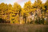 Tbd Highland Park Rd - Photo 13
