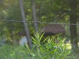 1937 E Woodrow Branch Road - Photo 18