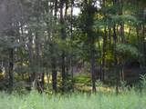 1937 E Woodrow Branch Road - Photo 4