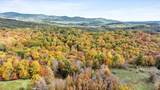  Flynns Creek Road - Photo 10