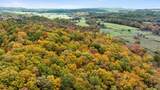  Flynns Creek Road - Photo 15
