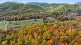  Flynns Creek Road - Photo 16