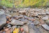  Flynns Creek Road - Photo 18