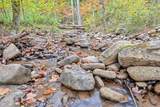  Flynns Creek Road - Photo 21