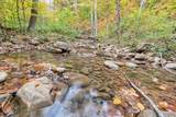  Flynns Creek Road - Photo 22