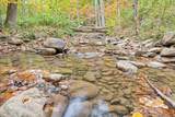  Flynns Creek Road - Photo 23