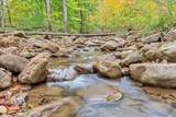  Flynns Creek Road - Photo 31