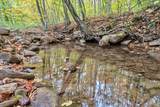  Flynns Creek Road - Photo 35