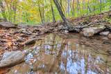  Flynns Creek Road - Photo 36