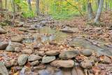 Flynns Creek Road - Photo 38
