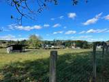 Lot 1 Rt 219 - Photo 14