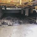 242 Quiet Oak St - Photo 41