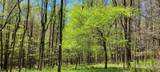  Lot 5 Old Dry Branch Rd - Photo 3