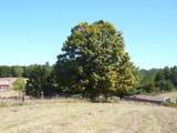 7 The Pines Drive - Photo 8