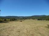 125l The Pines Drive - Photo 12