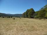 125l The Pines Drive - Photo 13