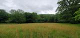 Island Property - Photo 27