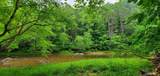  Island Property - Photo 8