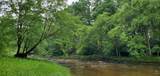  Island Property - Photo 9