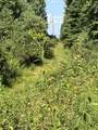 Lot 3 Ellison Ridge Rd - Photo 4