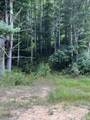 Lot 3 Ellison Ridge Rd - Photo 6