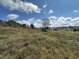 Lot 11 Willow Bend Lane - Photo 1